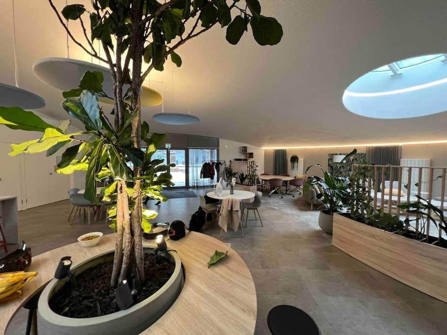 Brand New Modern Built-in Mall Of Tripla Apartment
